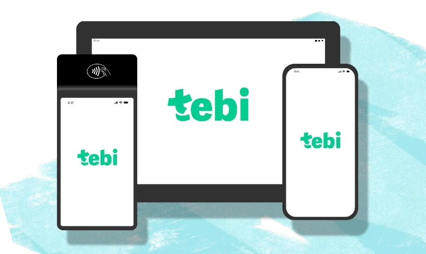 Introducing Tebi